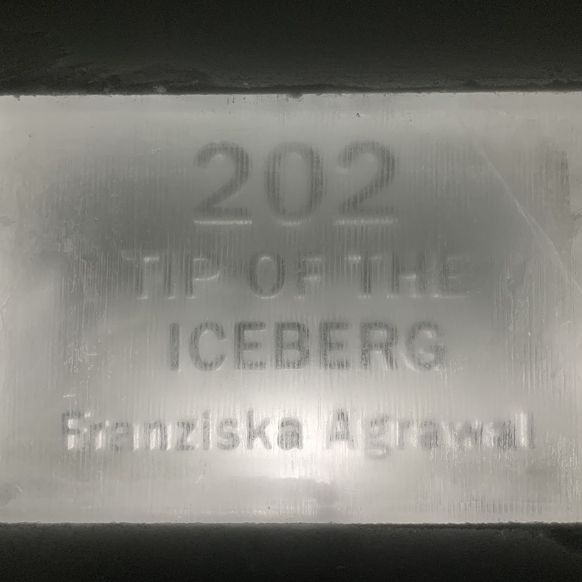 http://www.franziskaagrawal.com/files/gimgs/th-120_Icehotel_Suite_franziska_agrawal_4.jpg