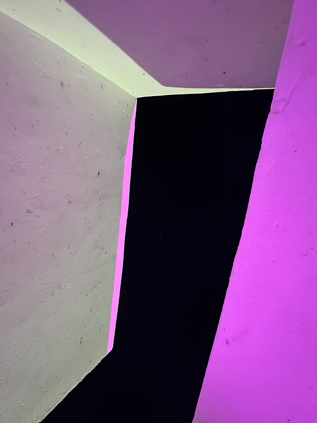 http://www.franziskaagrawal.com/files/gimgs/th-198_2025_Winnipeg_5.jpg